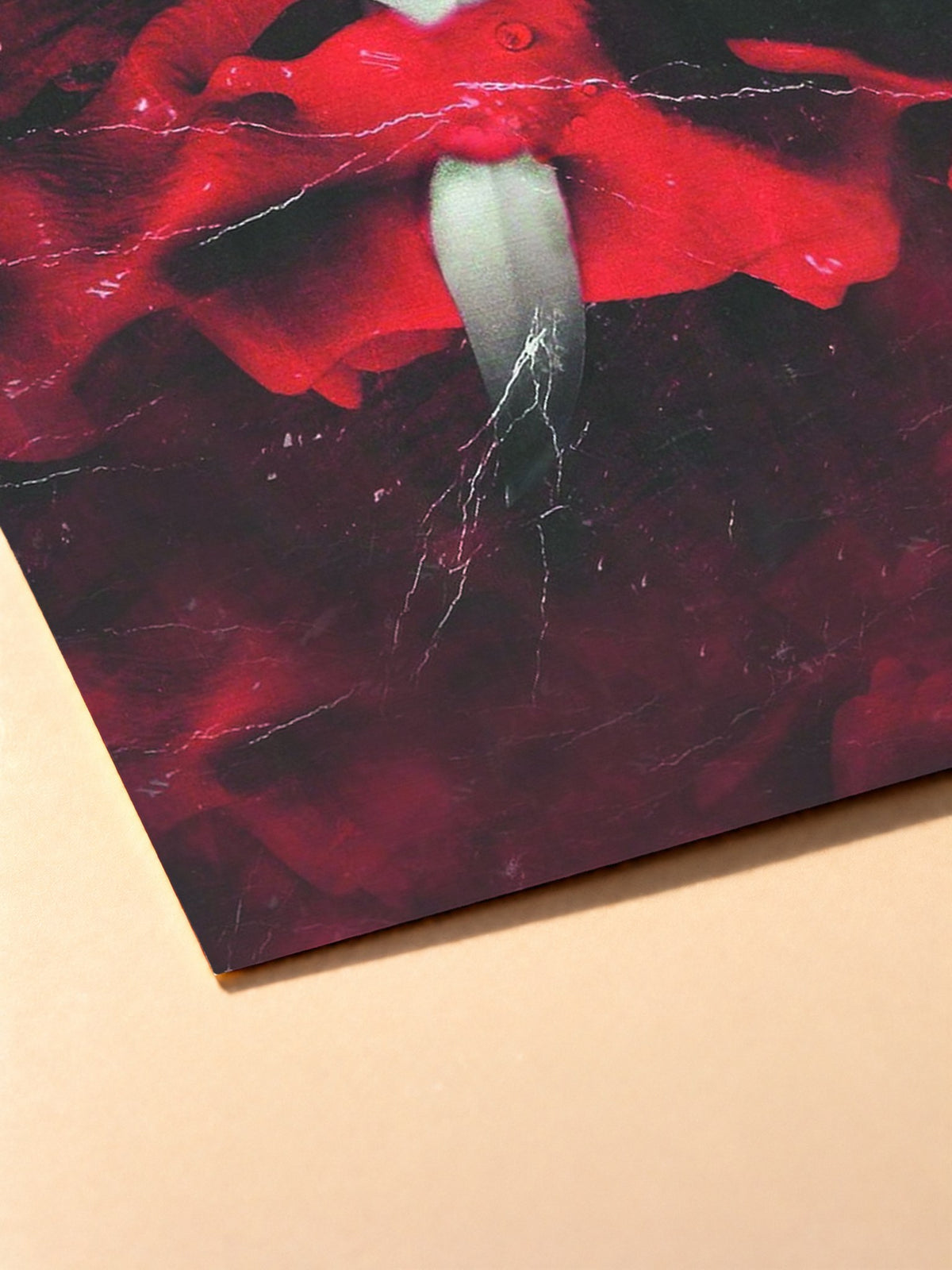Gros plan sur l'impression du poster 21 Savage & Metro Boomin – Savage Mode