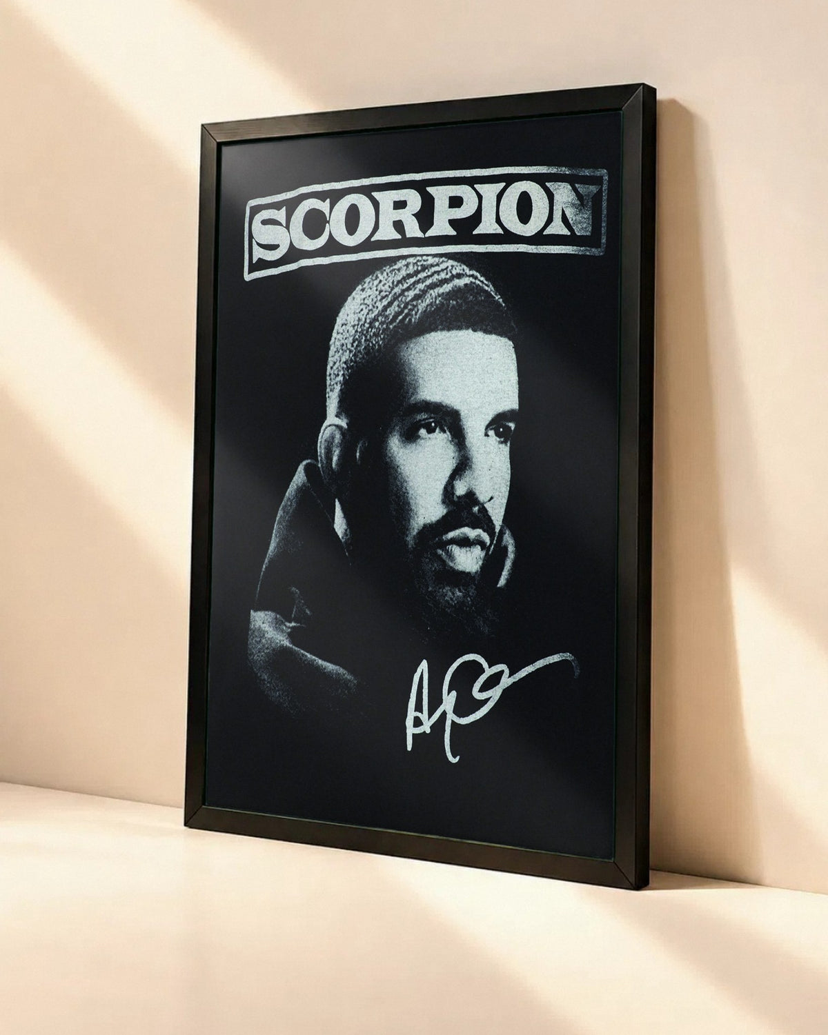 Poster Drake – Scorpion dans un cadre noir, vue en angle